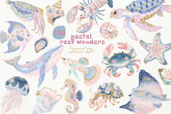 Pastel Reef Wonders PNG Clipart Guide